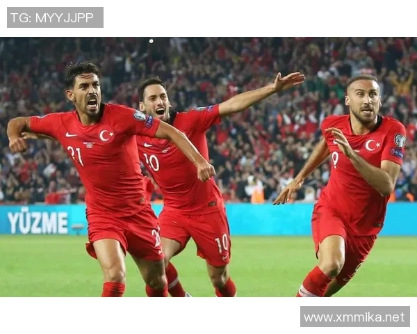 土耳其战胜冰岛重返竞争行列展现强大实力与决心